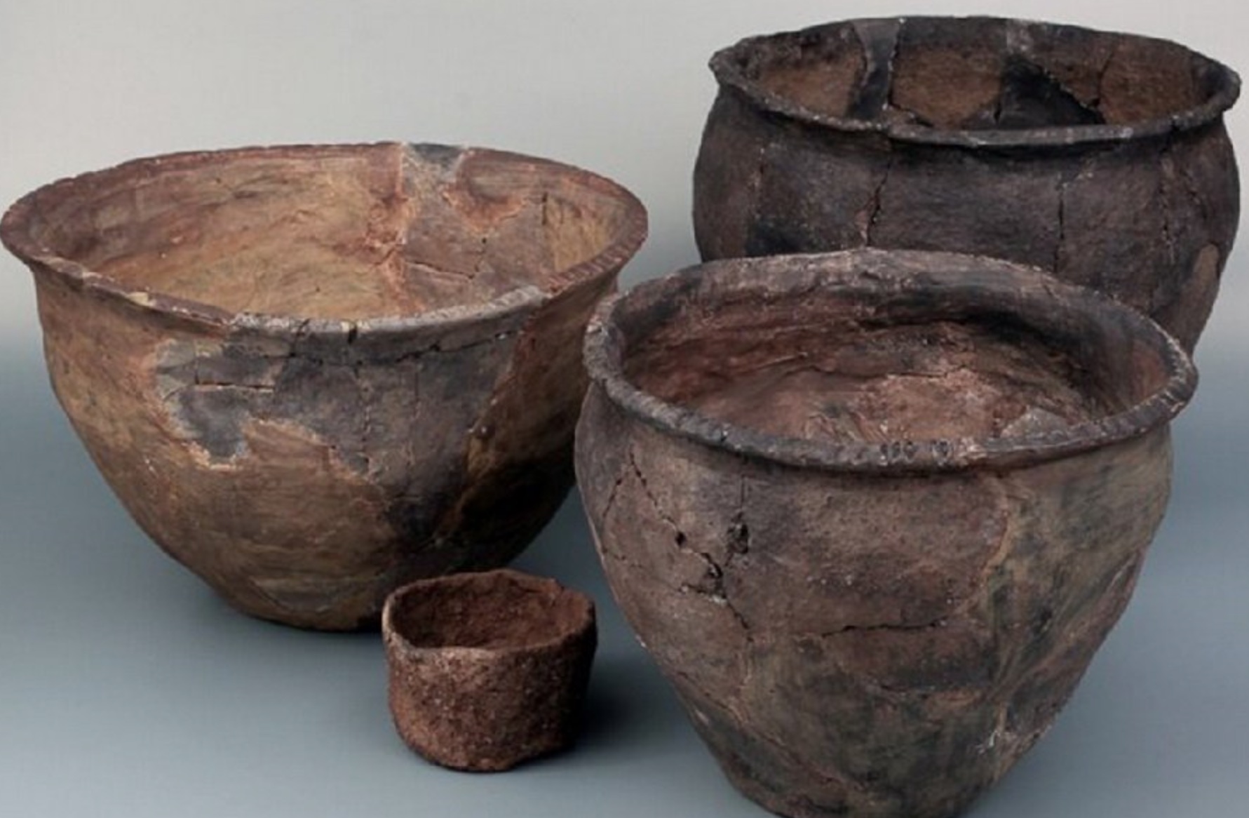 У горщиках, яким 800 років, знайшли залишки кошерної їжі.
